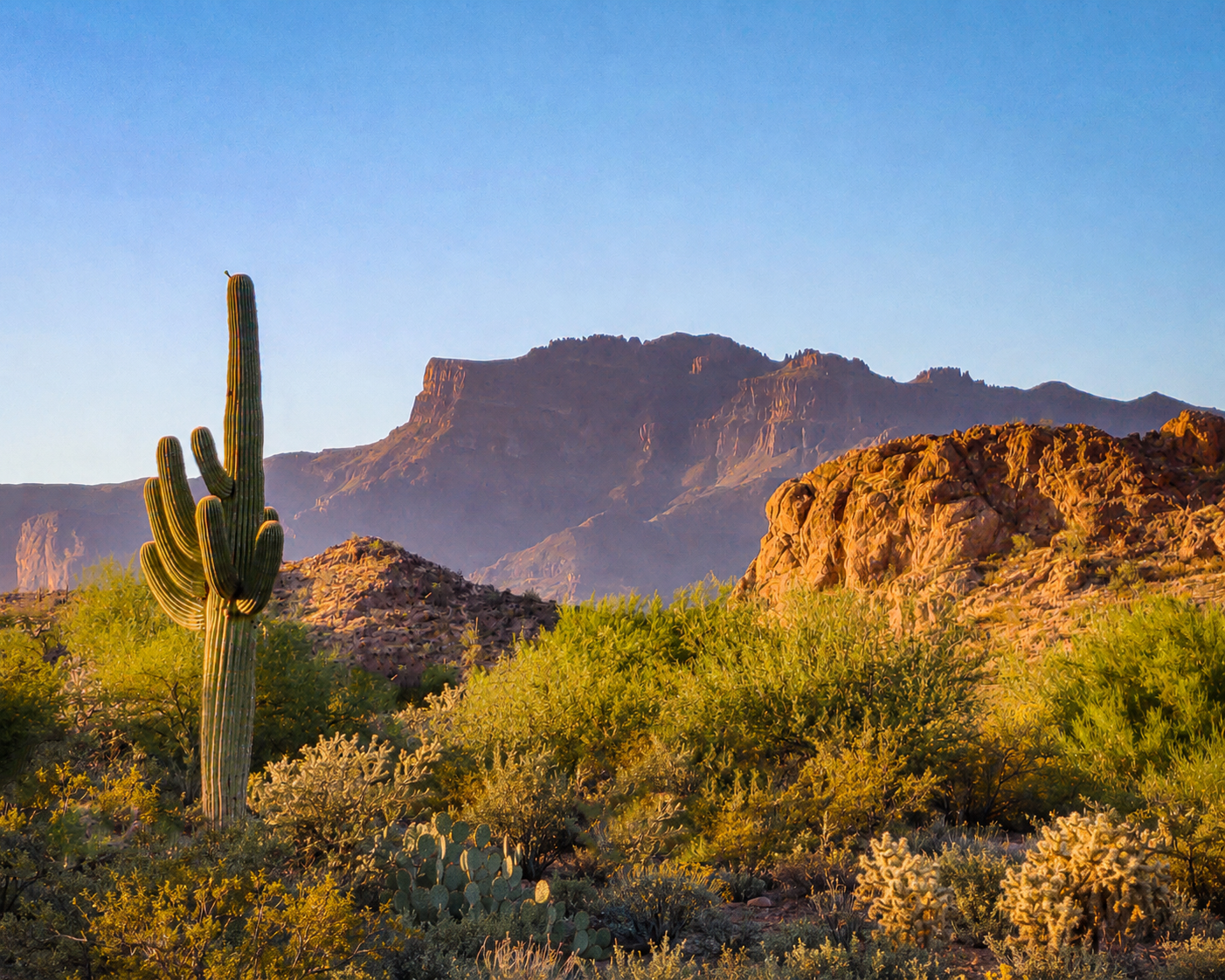 Arizona